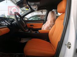 بي واي دي ‎سونغ برو DM-i